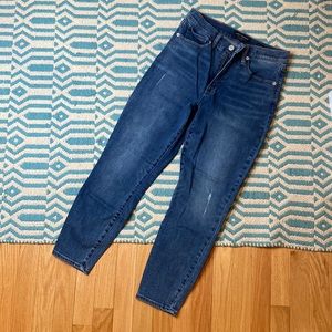 Lucky Brand Bridgette High Rise Crop Jeans 8/29